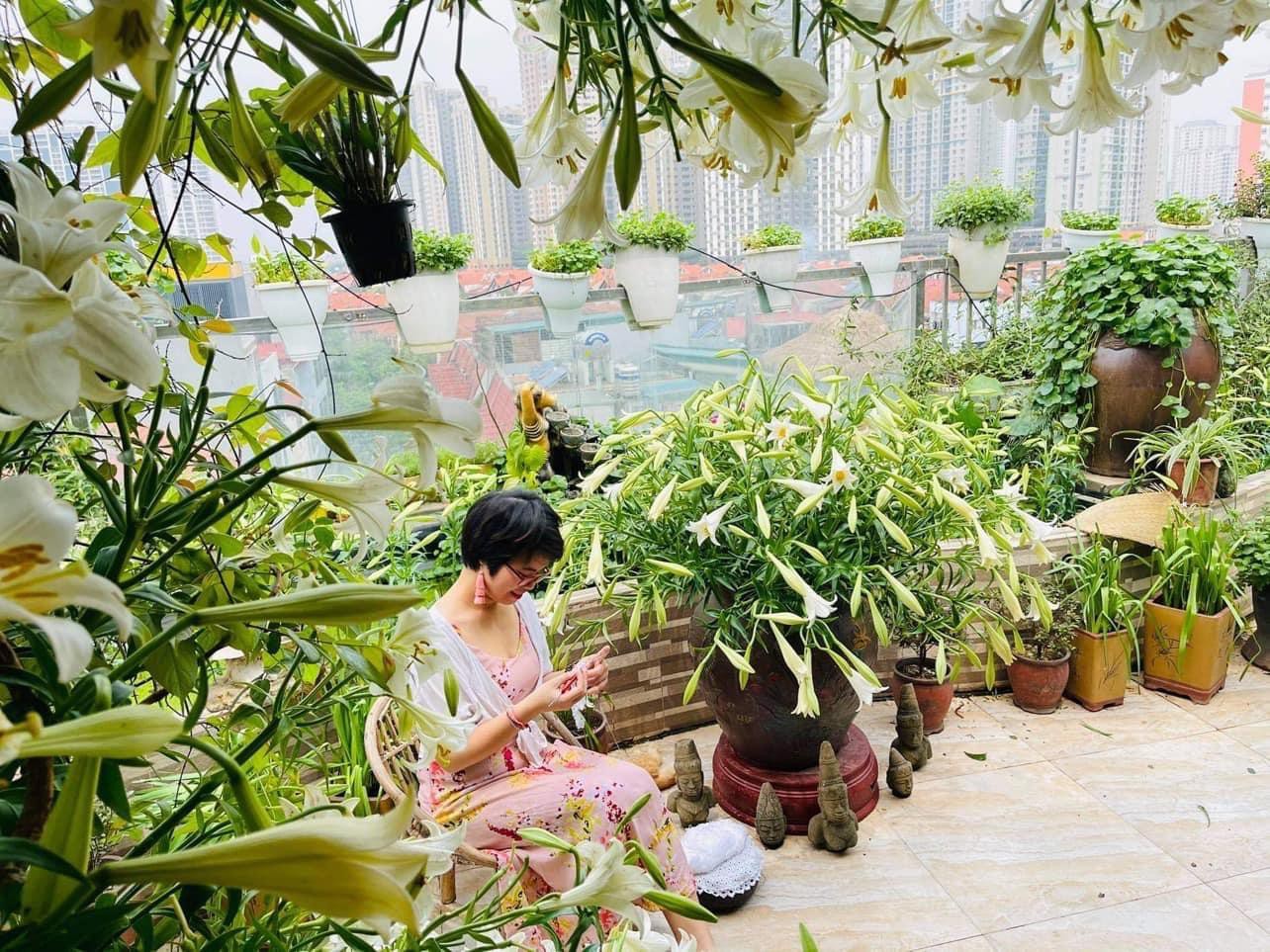 Hoa loa kèn vào mùa siêu rẻ, 'mãn nhãn' khu vườn nghìn bông của người phụ nữ Hà Nội 